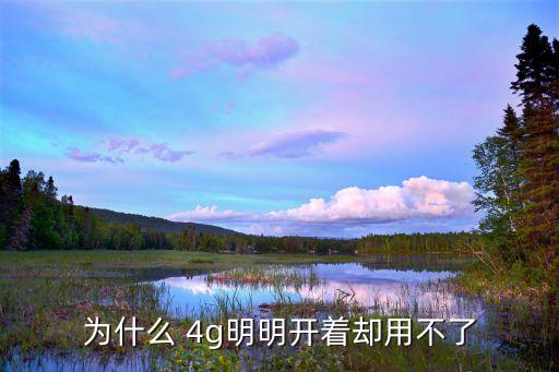 4g數(shù)據(jù)流量用不了怎么回事,流量沒有4G標(biāo)志是怎么回事