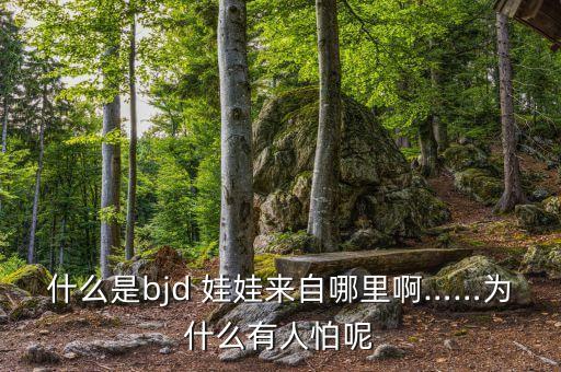 什么是bjd 娃娃來自哪里啊……為什么有人怕呢