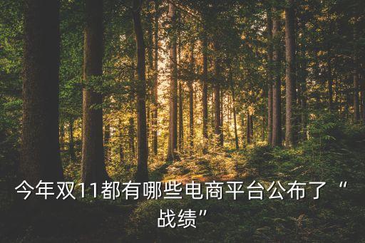 今年雙11都有哪些電商平臺公布了“戰(zhàn)績”