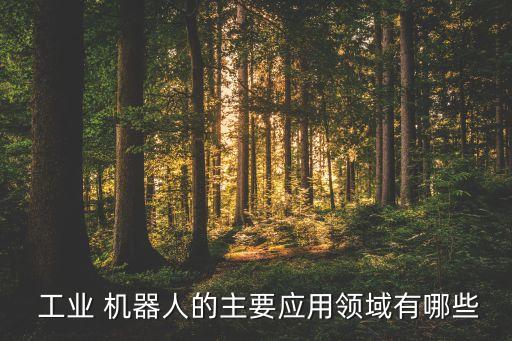  工業(yè) 機(jī)器人的主要應(yīng)用領(lǐng)域有哪些