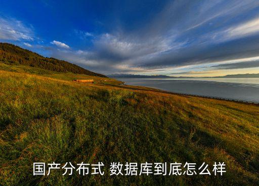 國產(chǎn)分布式 數(shù)據(jù)庫到底怎么樣