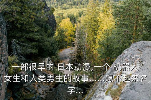 一部很早的 日本動(dòng)漫,一個(gè) 機(jī)器人女生和人類男生的故事……想不起來名字...