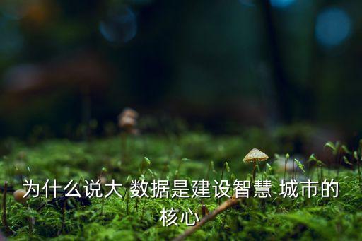 為什么說大 數(shù)據(jù)是建設(shè)智慧 城市的核心