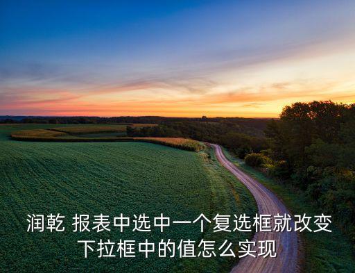  潤乾 報表中選中一個復選框就改變下拉框中的值怎么實現(xiàn)
