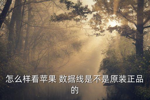 anker iphone數(shù)據(jù)線,品勝和anker數(shù)據(jù)線哪個好