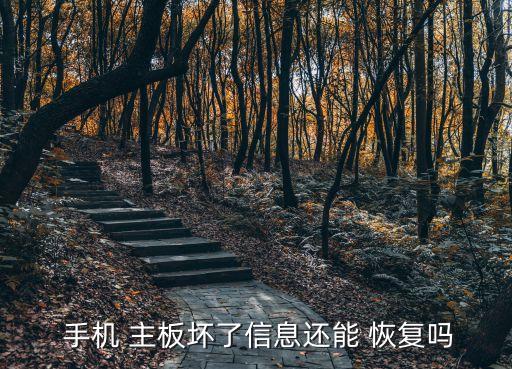  手機(jī) 主板壞了信息還能 恢復(fù)嗎