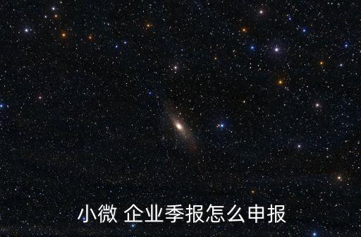  小微 企業(yè)季報(bào)怎么申報(bào)