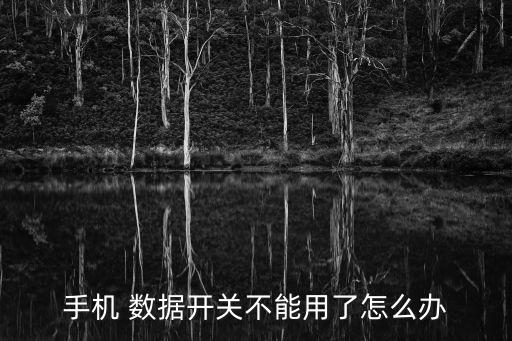 手機(jī) 數(shù)據(jù)開(kāi)關(guān)不能用了怎么辦
