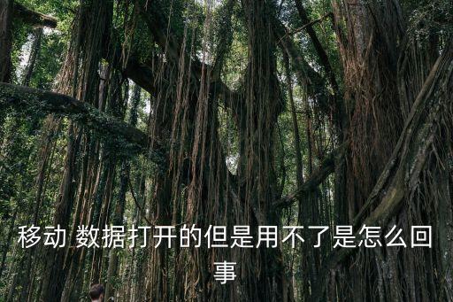 為什么手機(jī)數(shù)據(jù)沒(méi)法用,手機(jī)wifi和數(shù)據(jù)都沒(méi)法用
