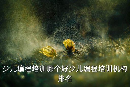 少兒編程培訓(xùn)哪個(gè)好少兒編程培訓(xùn)機(jī)構(gòu)排名