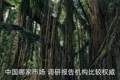 第三方調(diào)研數(shù)據(jù)在哪里找,亞馬遜第三方數(shù)據(jù)調(diào)研工具
