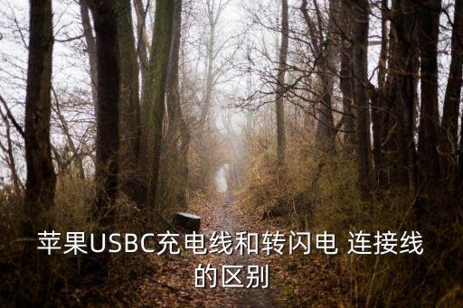蘋果USBC充電線和轉(zhuǎn)閃電 連接線的區(qū)別