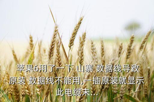 蘋果山寨數(shù)據(jù)線維修,蘋果數(shù)據(jù)線壞了可以維修嗎