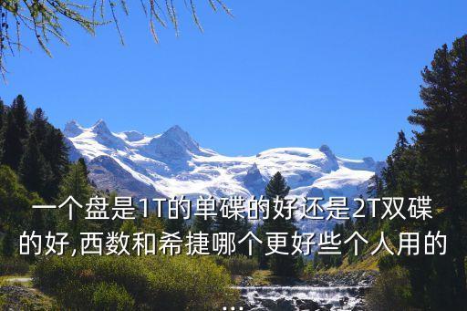 一個(gè)盤是1T的單碟的好還是2T雙碟的好,西數(shù)和希捷哪個(gè)更好些個(gè)人用的...
