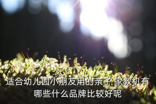 適合幼兒園小朋友用的親子 家教機(jī)有哪些什么品牌比較好呢