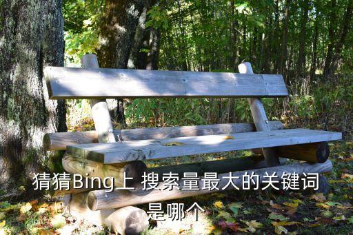 猜猜Bing上 搜索量最大的關鍵詞是哪個