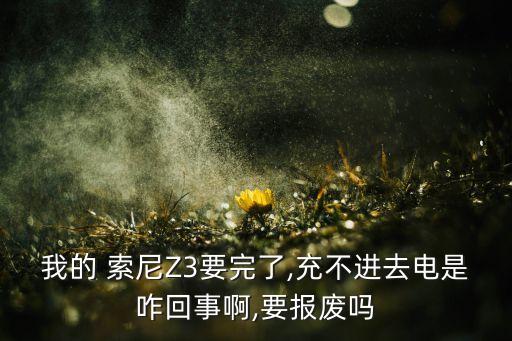 索尼z3手機數(shù)據(jù)線,索尼手機數(shù)據(jù)線接口