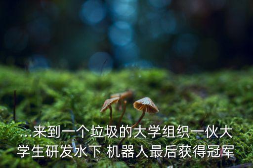 ...來(lái)到一個(gè)垃圾的大學(xué)組織一伙大學(xué)生研發(fā)水下 機(jī)器人最后獲得冠軍