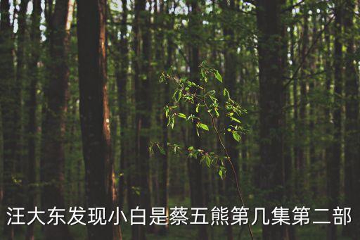 汪大東發(fā)現(xiàn)小白是蔡五熊第幾集第二部
