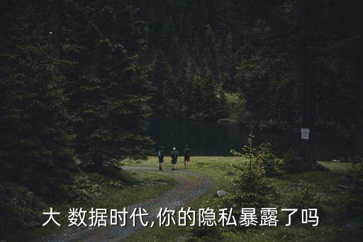 大 數(shù)據(jù)時代,你的隱私暴露了嗎