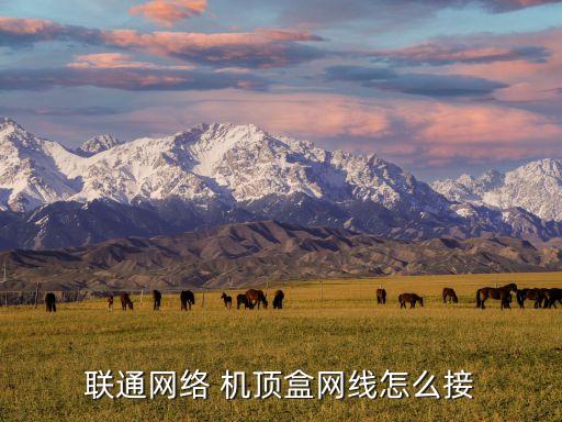聯(lián)通網(wǎng)絡(luò) 機(jī)頂盒網(wǎng)線怎么接