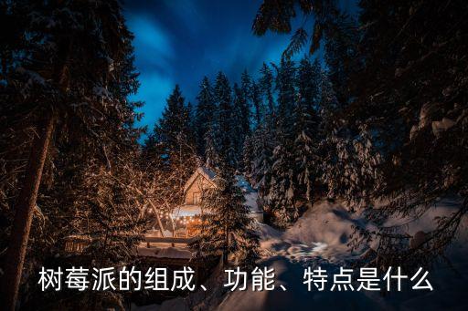 樹莓派 寫字機器人