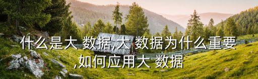 什么是大 數(shù)據(jù),大 數(shù)據(jù)為什么重要,如何應(yīng)用大 數(shù)據(jù)
