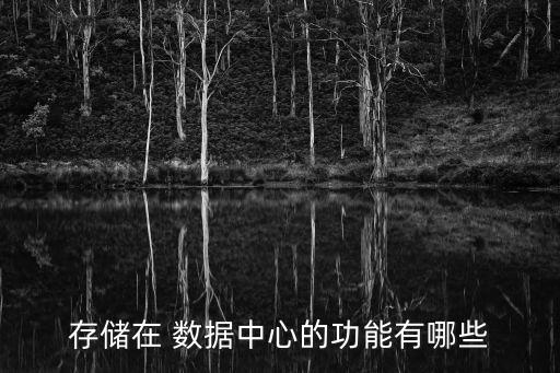 存儲(chǔ)在 數(shù)據(jù)中心的功能有哪些