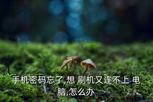 手機密碼忘了,想 刷機又連不上 電腦,怎么辦