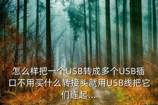 usb 多口 數(shù)據(jù),多口usb充電器電路圖