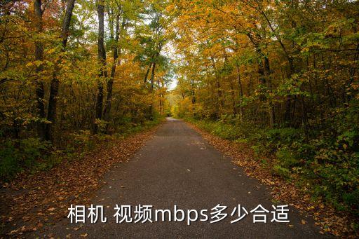 一般視頻數(shù)據(jù)率,視頻號怎么查數(shù)據(jù)