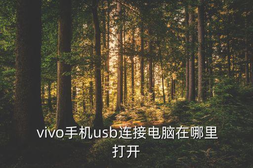  vivo手機(jī)usb連接電腦在哪里打開