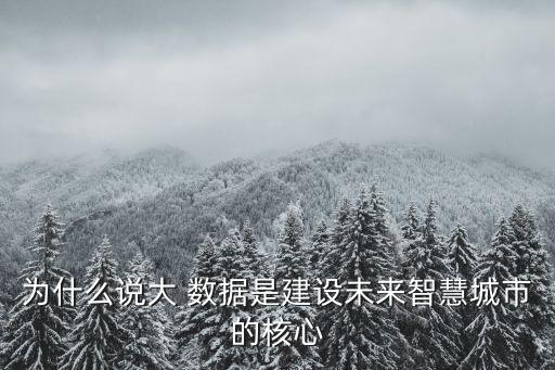 為什么說大 數(shù)據(jù)是建設(shè)未來智慧城市的核心