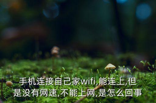 手機(jī)連接自己家wifi,能連上,但是沒(méi)有網(wǎng)速,不能上網(wǎng),是怎么回事