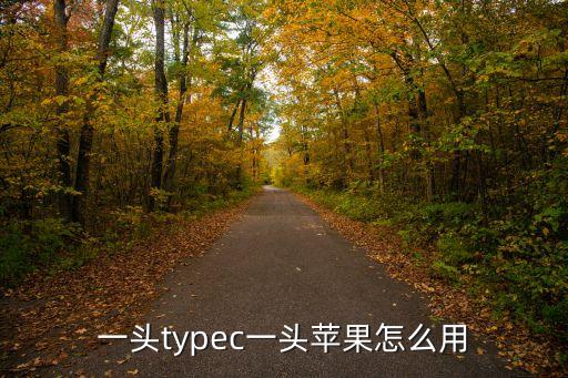 typec數(shù)據(jù)線(xiàn)如何連接,兩根typec數(shù)據(jù)線(xiàn)怎么連接成一根