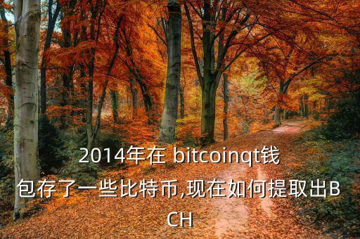 2014年在 bitcoinqt錢包存了一些比特幣,現(xiàn)在如何提取出BCH