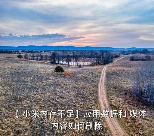 【 小米內(nèi)存不足】應(yīng)用數(shù)據(jù)和 媒體內(nèi)容如何刪除