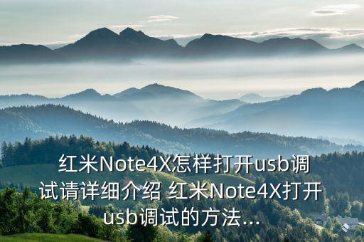  紅米Note4X怎樣打開usb調(diào)試請(qǐng)?jiān)敿?xì)介紹 紅米Note4X打開usb調(diào)試的方法...