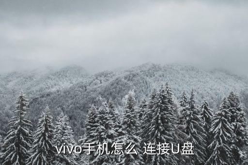  vivo手機(jī)怎么 連接U盤