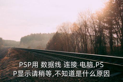 索尼psp300 數(shù)據(jù)線無法連接電腦