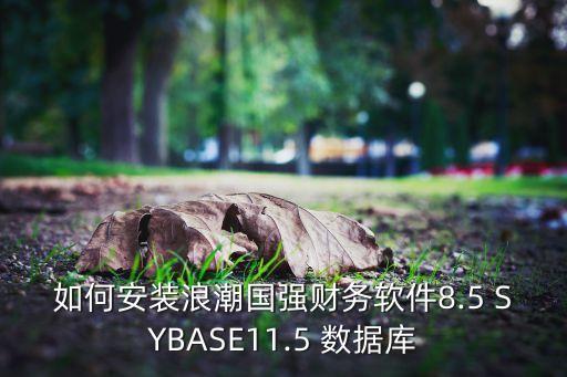 sybase數(shù)據(jù)庫 視頻,Sybase數(shù)據(jù)庫端口