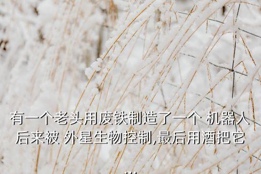 有一個(gè)老頭用廢鐵制造了一個(gè) 機(jī)器人后來被 外星生物控制,最后用酒把它...