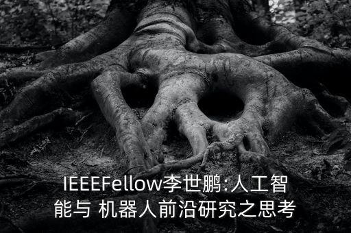意圖機(jī)器人系統(tǒng),小小機(jī)器人設(shè)計(jì)意圖