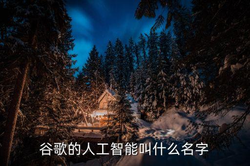google旗下機(jī)器人公司,碧桂園旗下的機(jī)器人公司