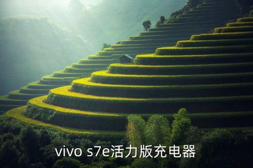 vivo s7e活力版充電器