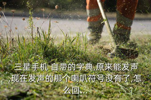  三星手機 自帶的字典,原來能發(fā)聲,現(xiàn)在發(fā)聲的那個喇叭符號沒有了,怎么回...