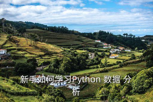 新手如何學(xué)習(xí)Python 數(shù)據(jù) 分析