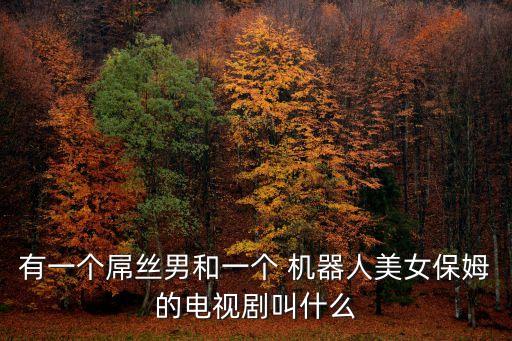 有一個屌絲男和一個 機(jī)器人美女保姆的電視劇叫什么