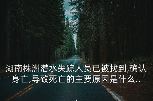 水中救援機(jī)器人,變形金剛之救援機(jī)器人