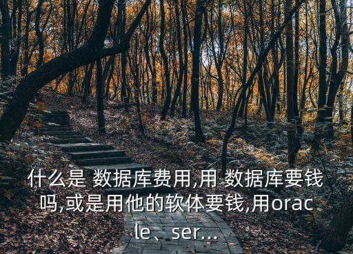 數(shù)據(jù)庫軟件價格,建立數(shù)據(jù)庫用什么軟件